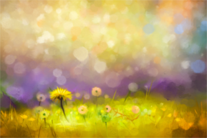 Dandelion flower amid colorful backdrop on Couples Counseling page