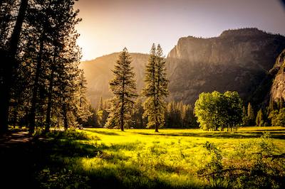 sun coming in over mountain clearing