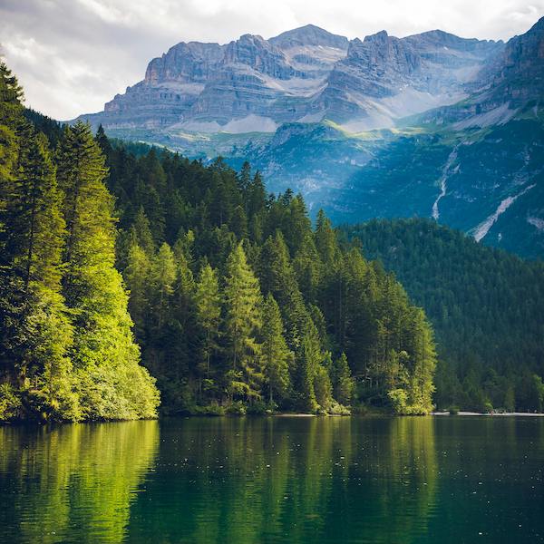 lake with trees and mountains behind